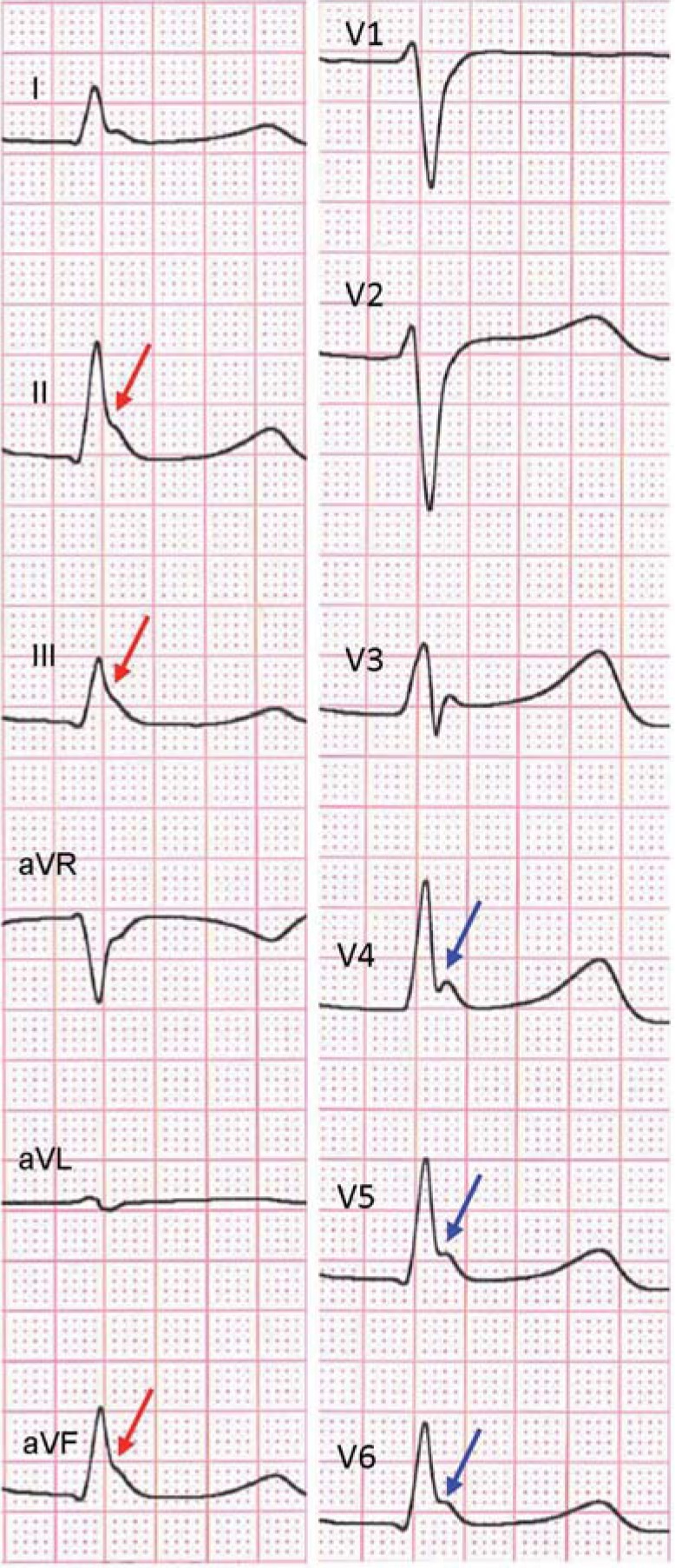 Figure 7