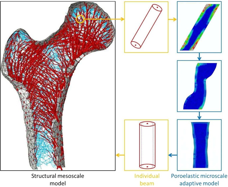 Fig. 12