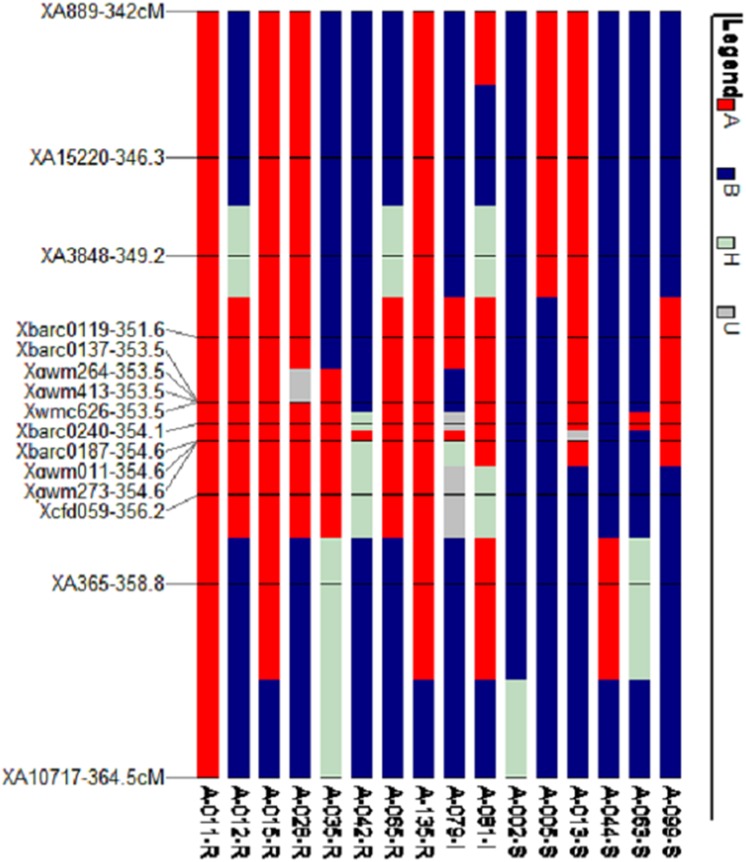 Fig 6