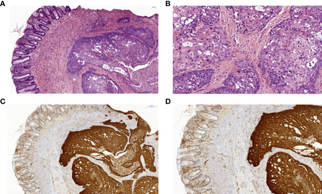 Figure 3