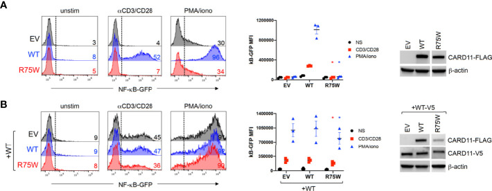 Figure 4