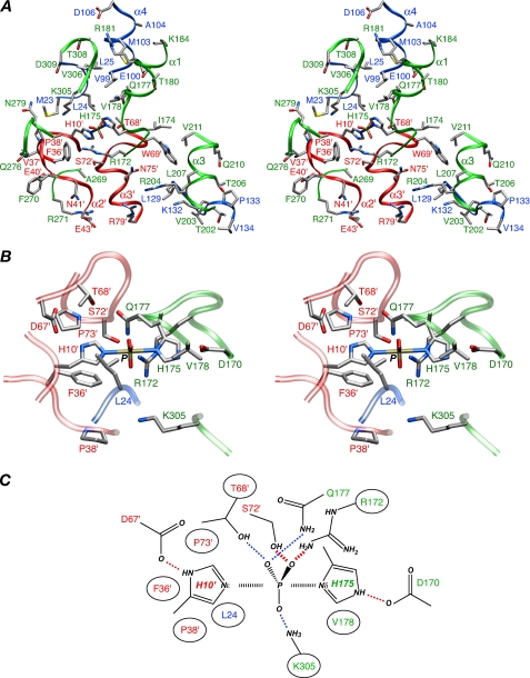 FIGURE 6.