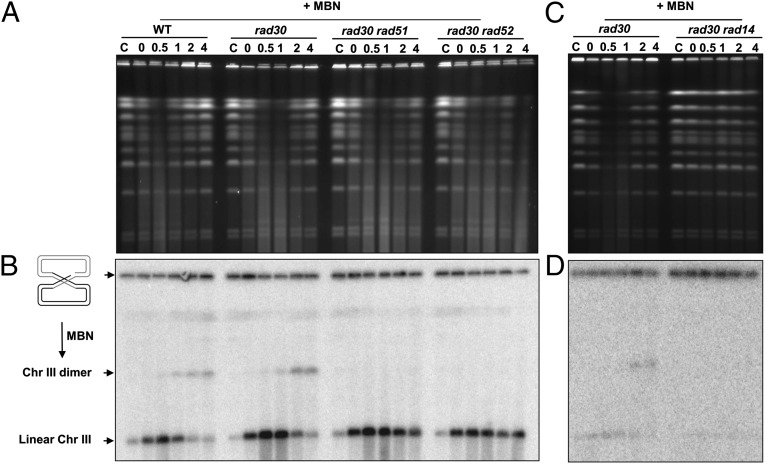 Fig. 5.