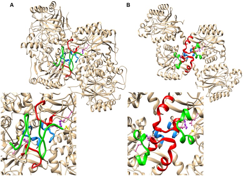 FIGURE 3