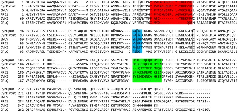 FIGURE 2