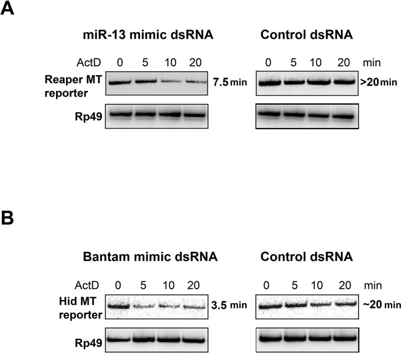 Figure 1—figure supplement 2.