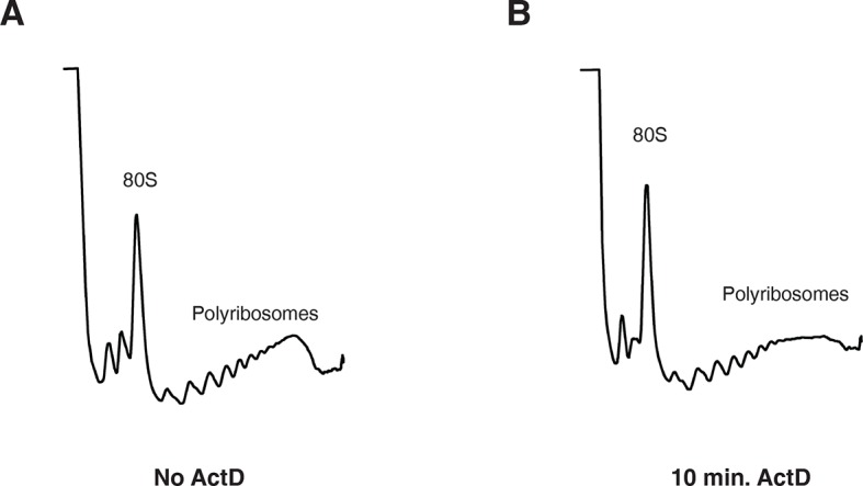 Figure 3—figure supplement 1.