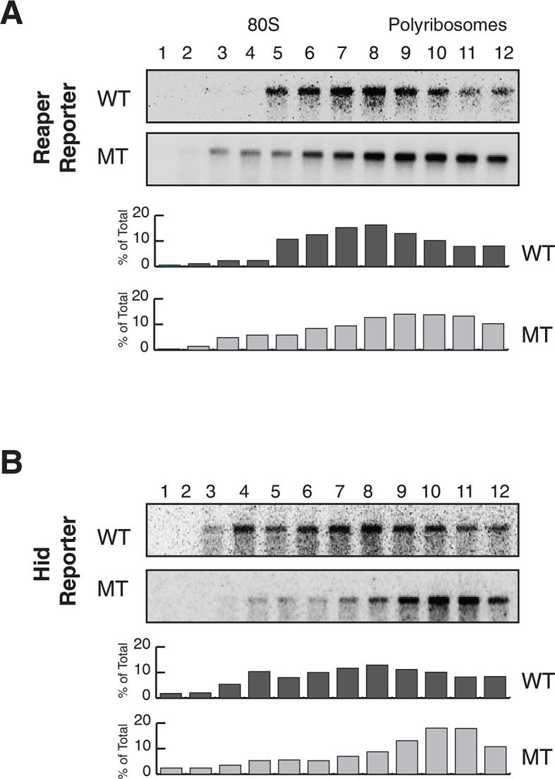 Figure 2—figure supplement 4.