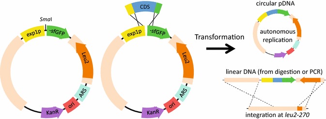 Fig. 2