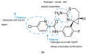Figure 24