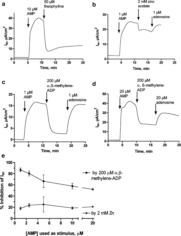 Fig. 5