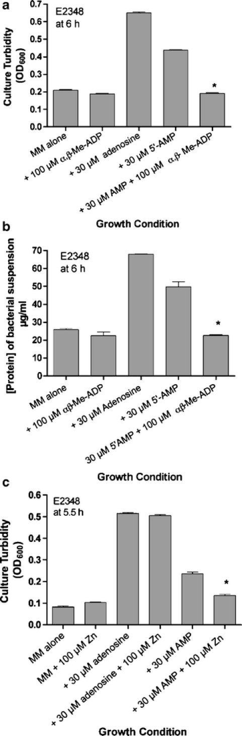 Fig. 6