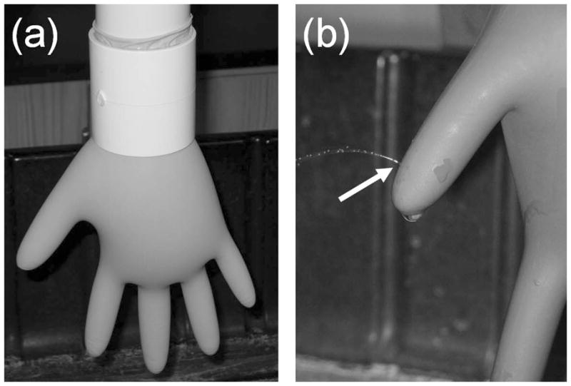 FIGURE 3