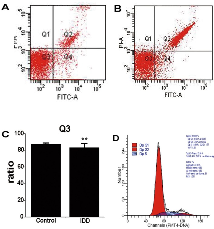 Fig 6