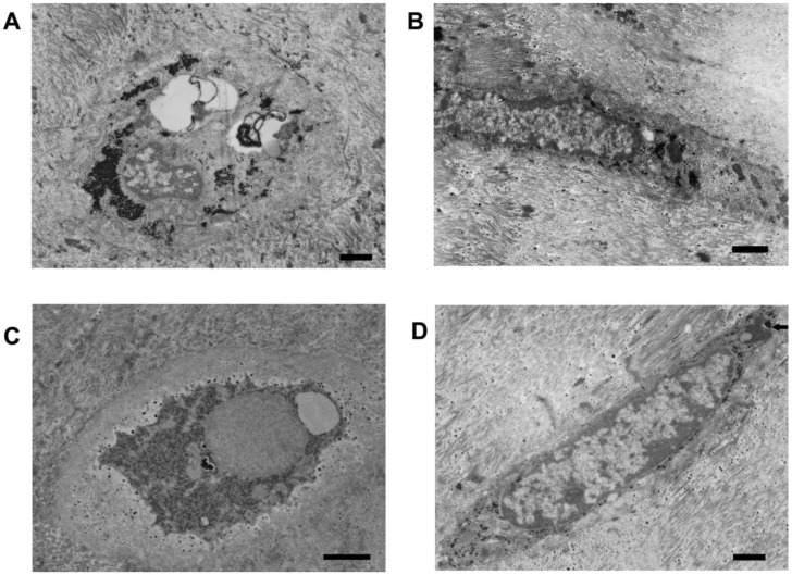 Fig 5