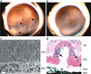 Fig. 1.1