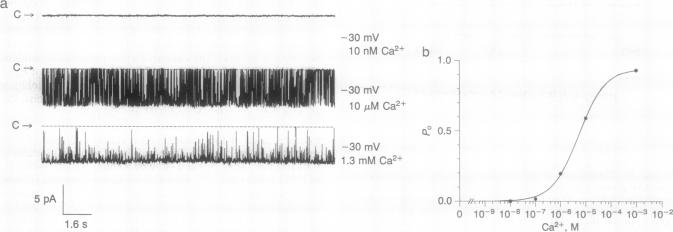 graphic file with name pnas01128-0398-a.jpg