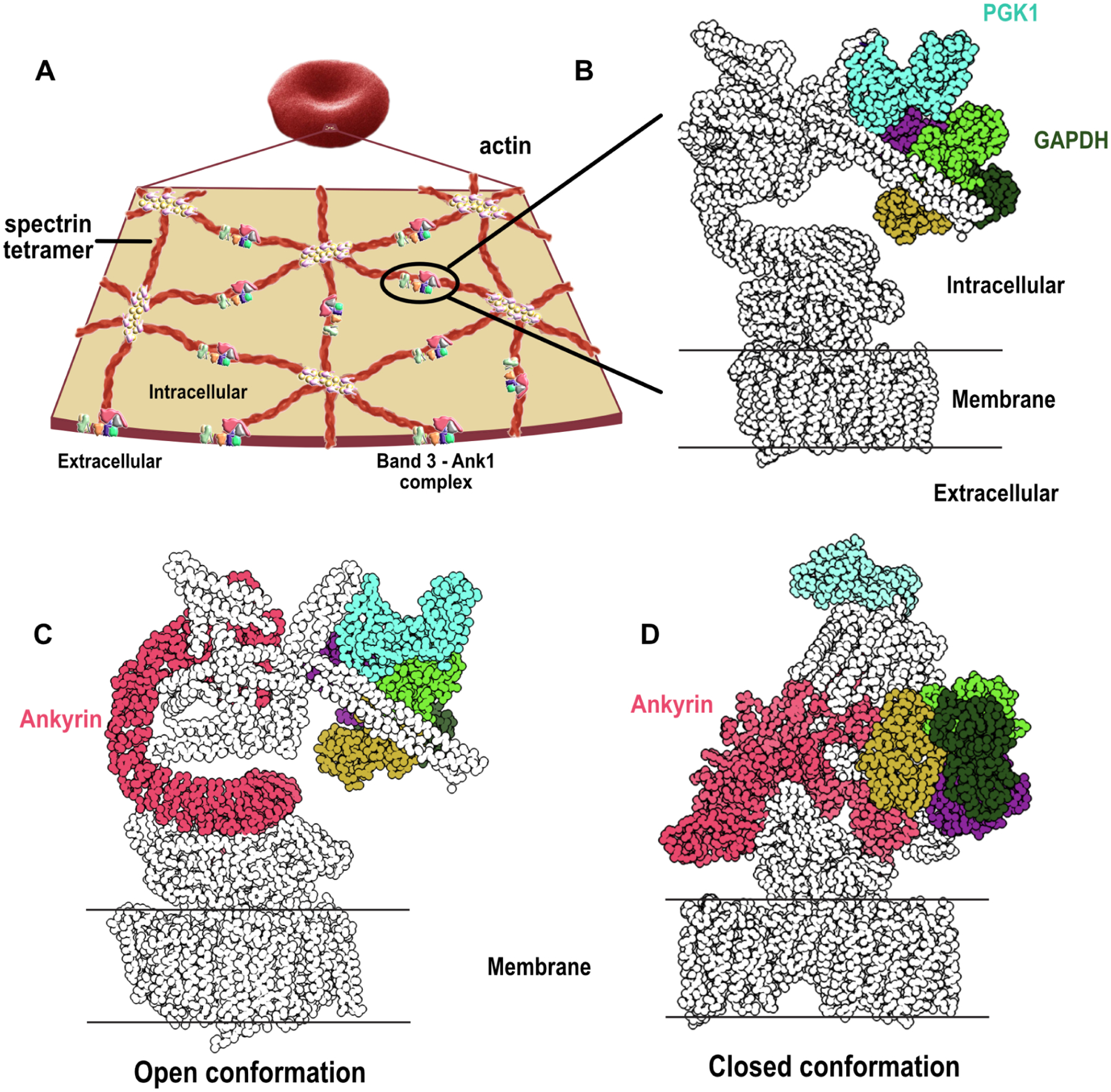 Figure 6.