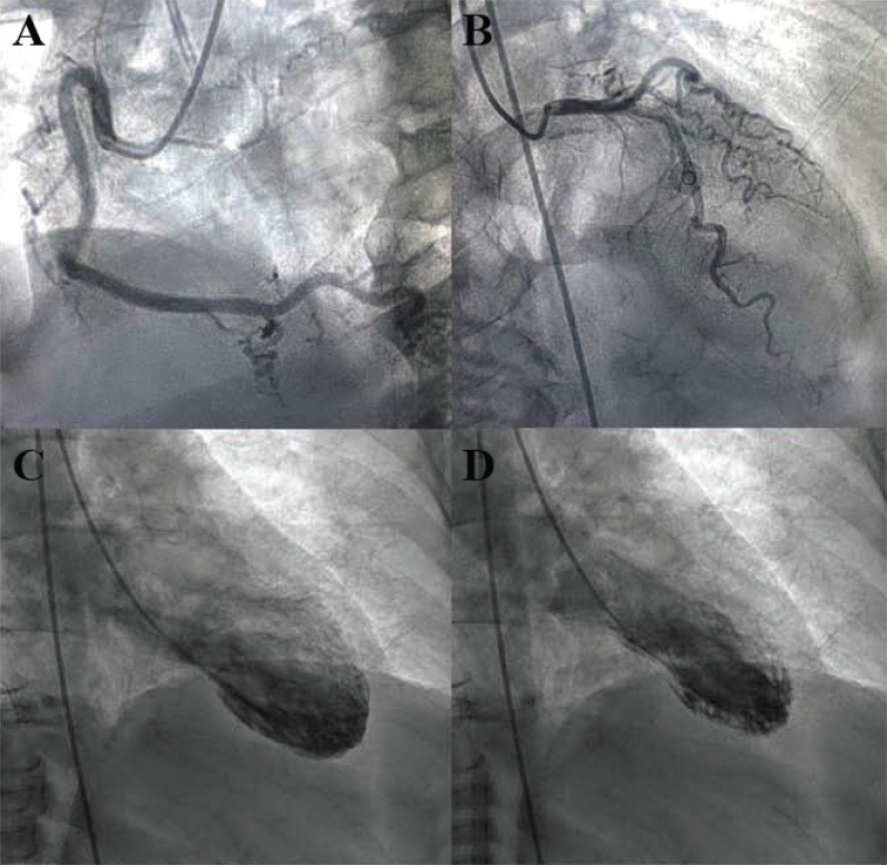 Fig. (3)