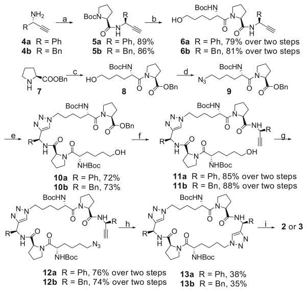 Scheme 1