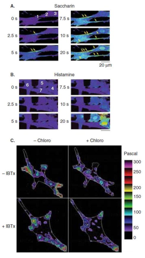 Figure 4