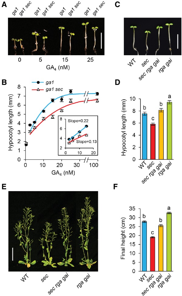 Figure 5.