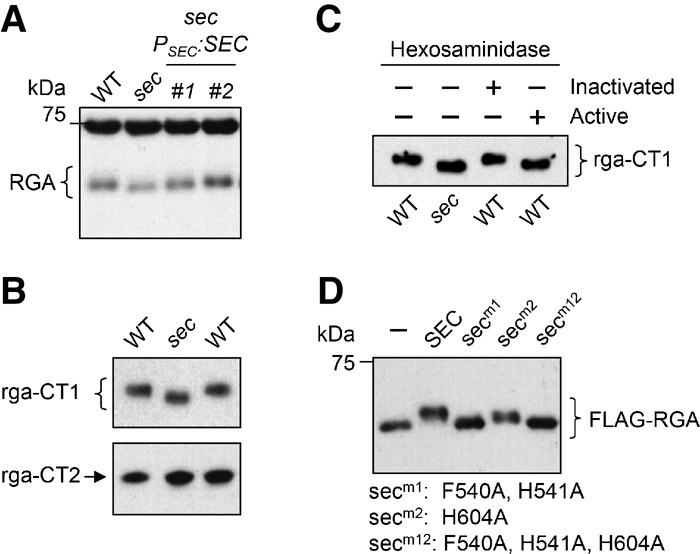 Figure 6.