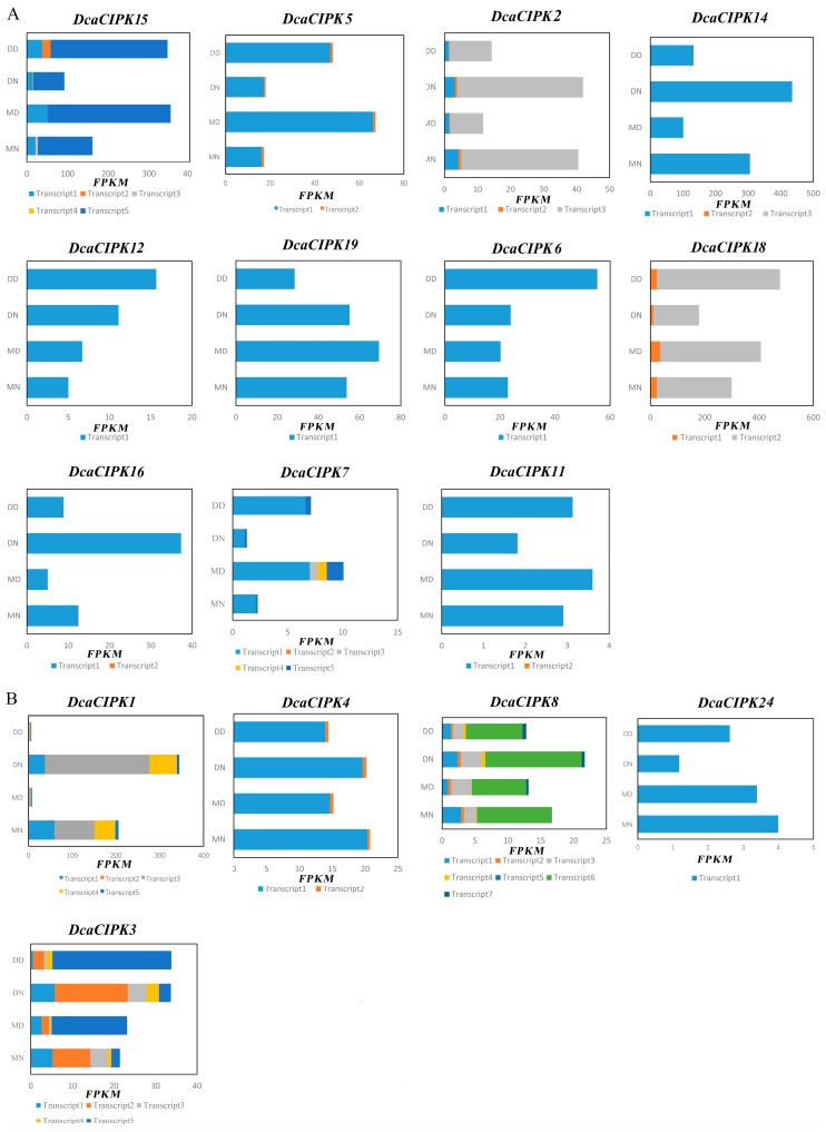 Figure 6