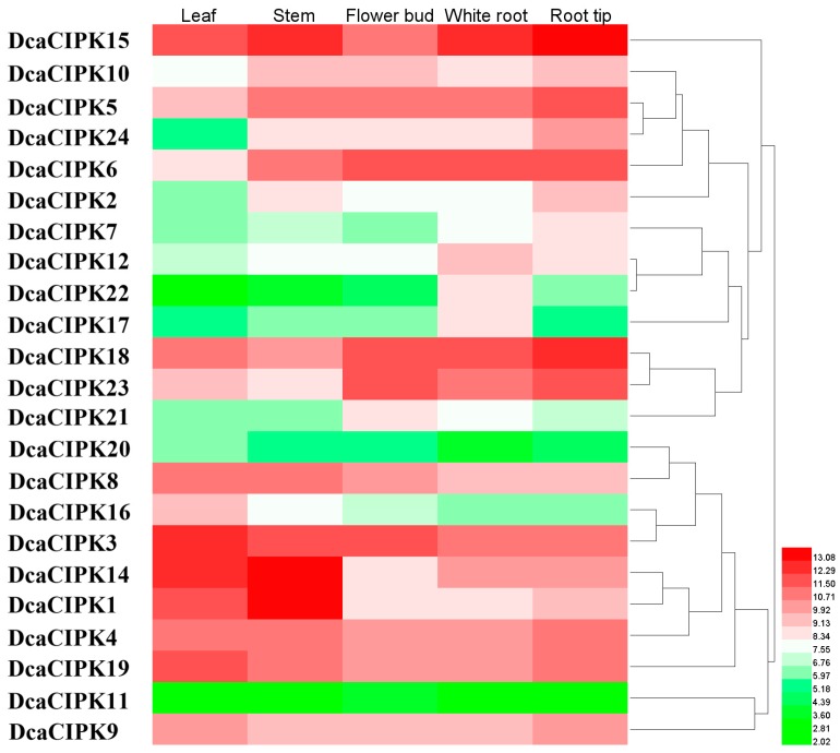 Figure 4