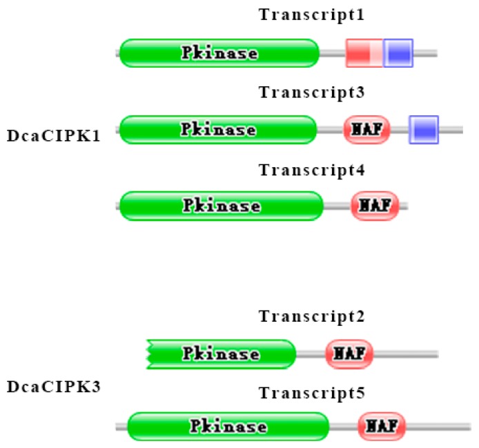 Figure 7