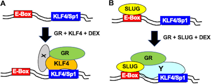 FIG 9