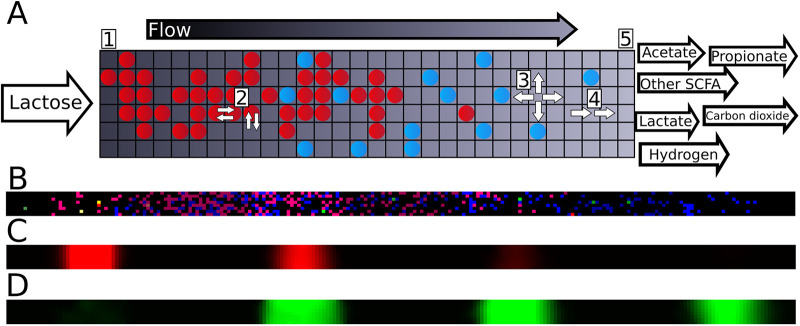 FIG 1