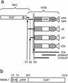 FIG. 1.