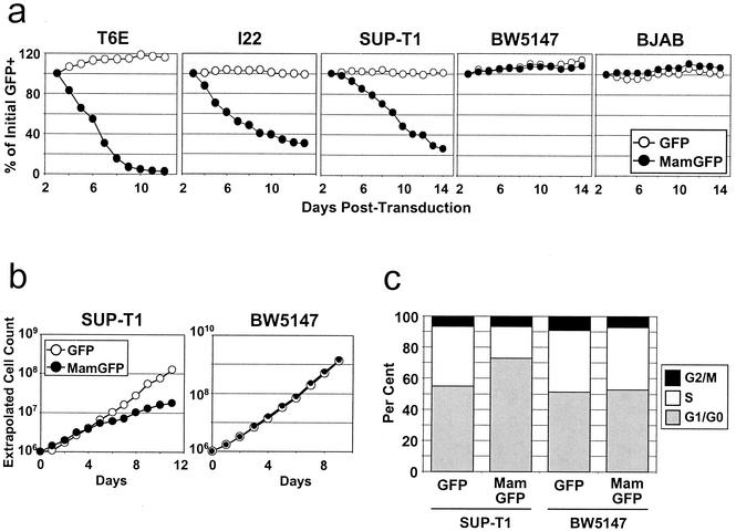 FIG. 8.