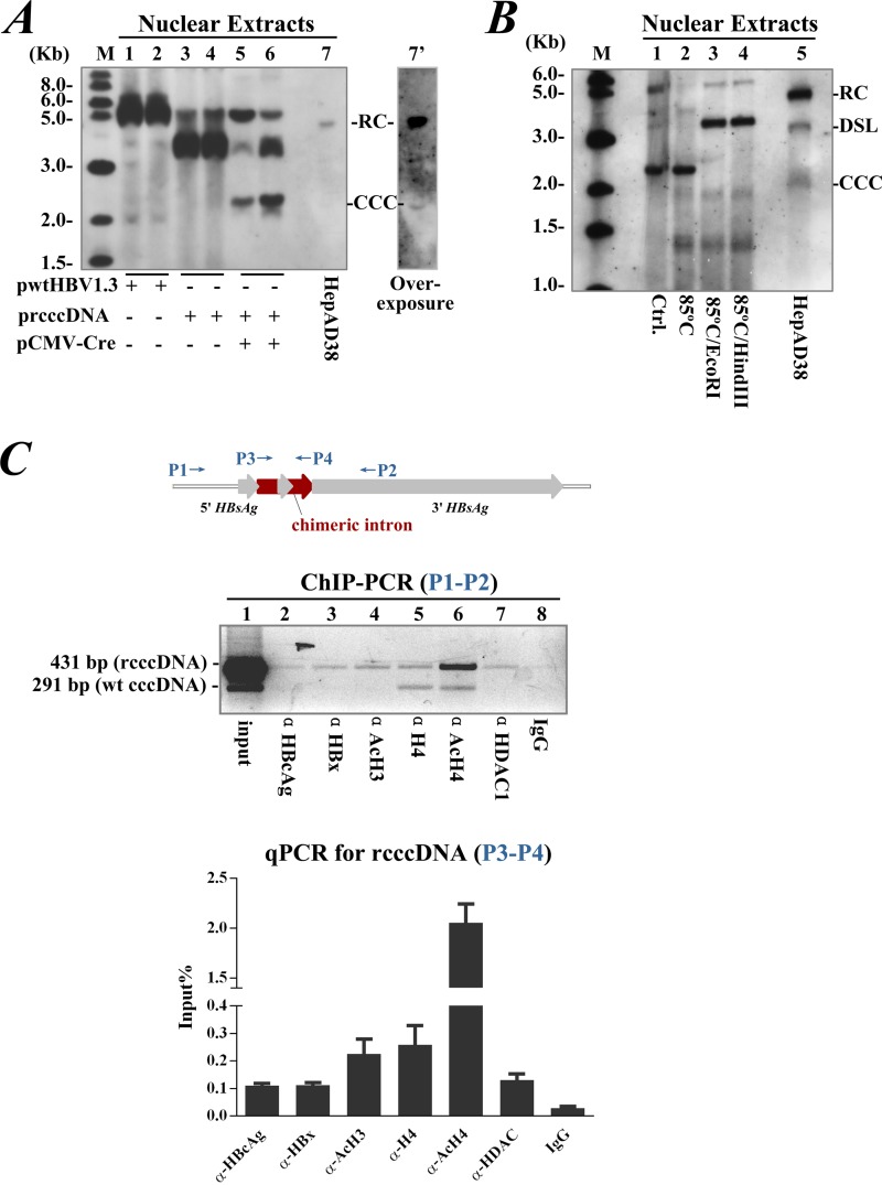 FIG 4