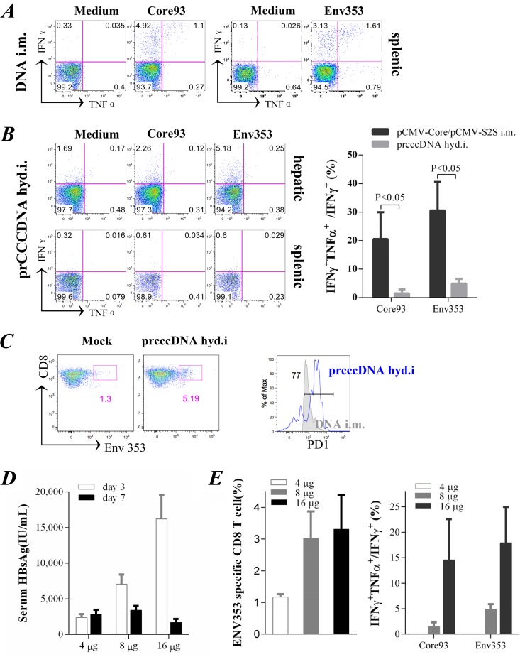 FIG 6