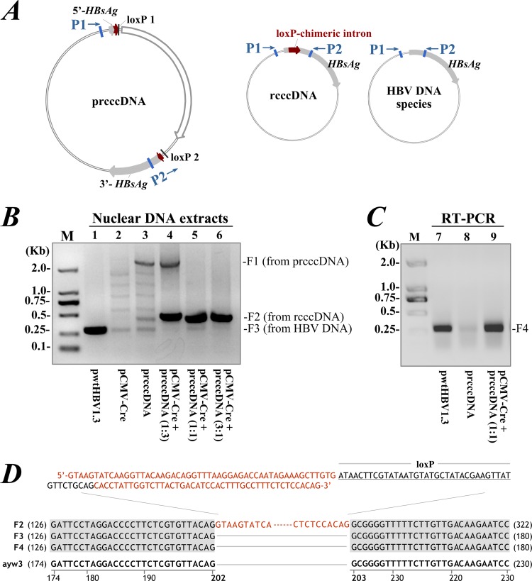 FIG 2