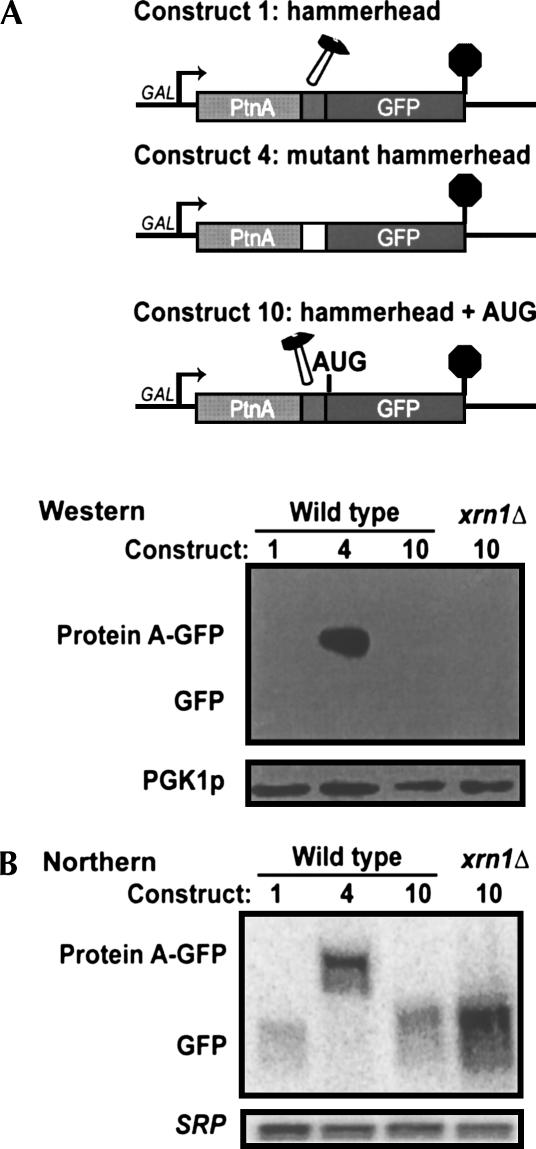 FIGURE 7.