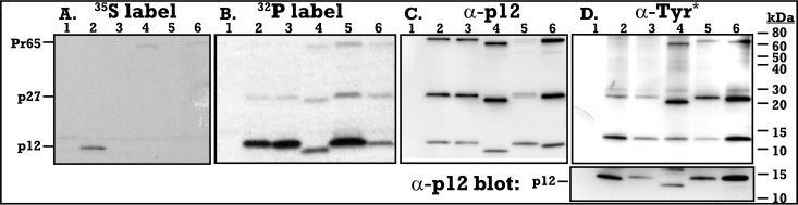 FIG 2