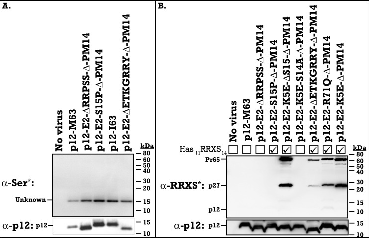 FIG 3