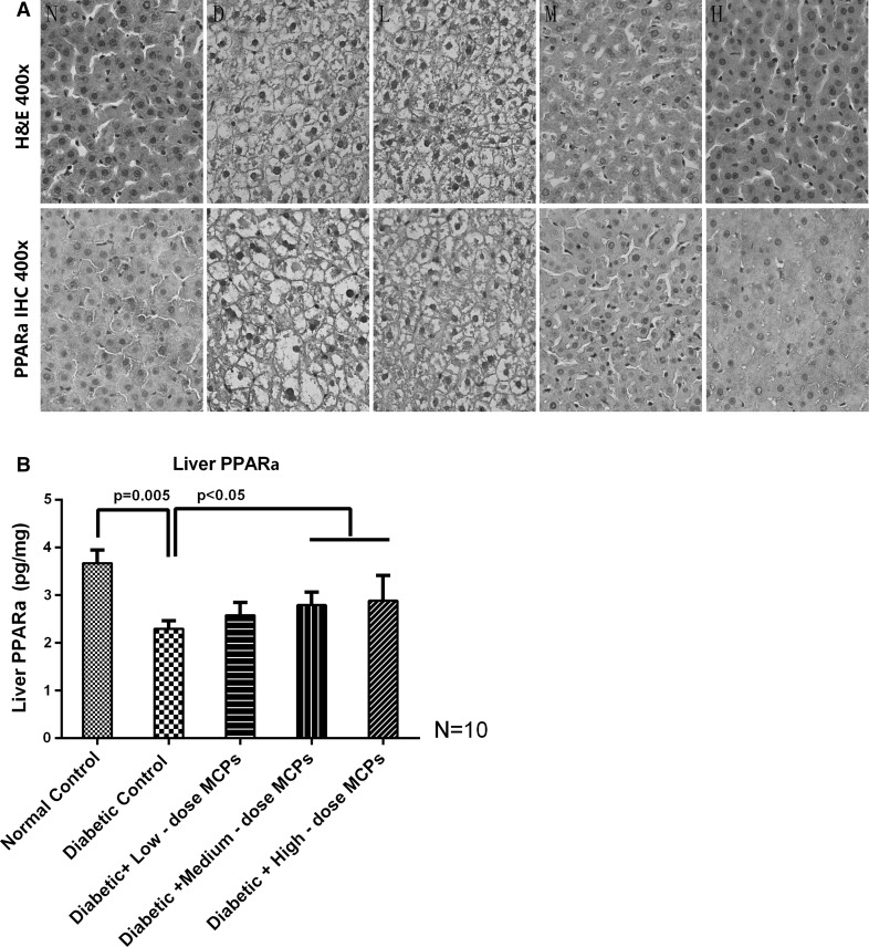 Fig. 4