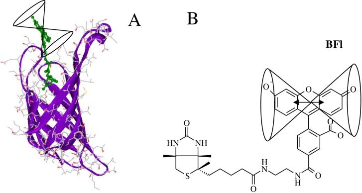 Fig 11