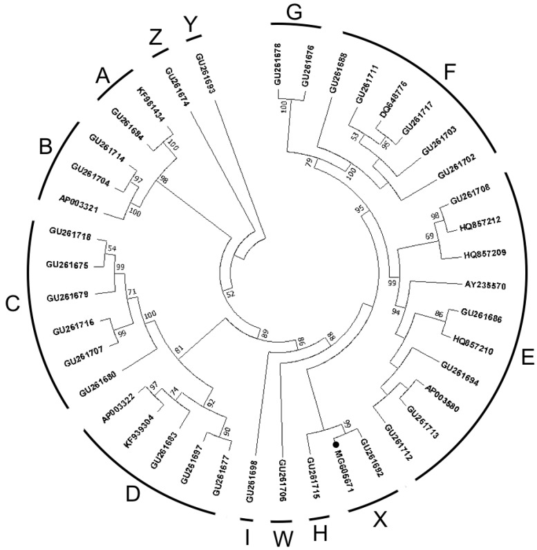 Figure 1