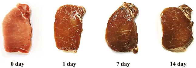 Fig. 1