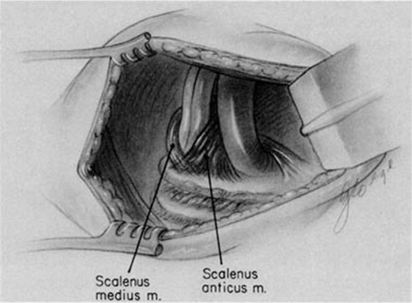 Fig. 9.