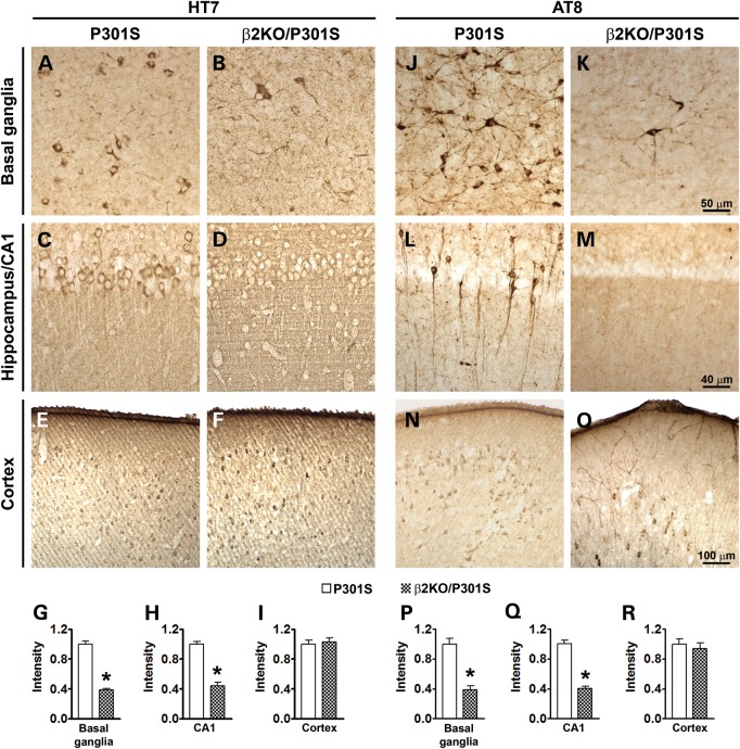 Figure 3.