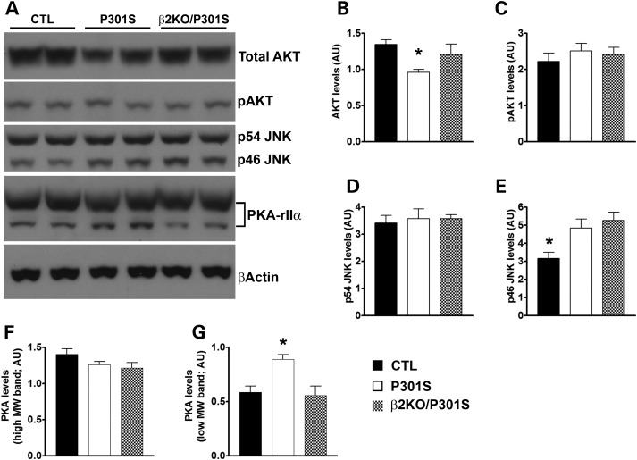 Figure 6.