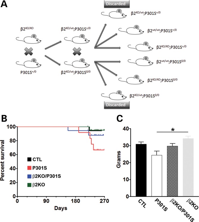 Figure 1.