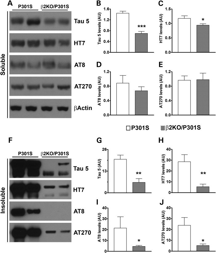 Figure 4.