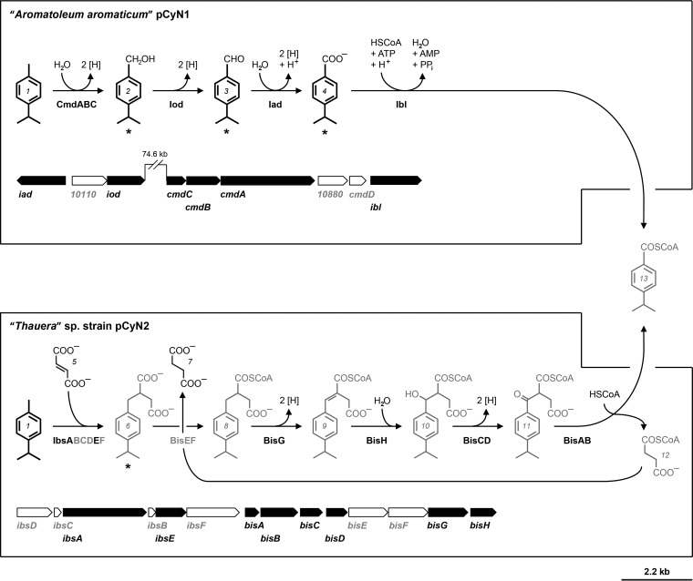 FIG 1